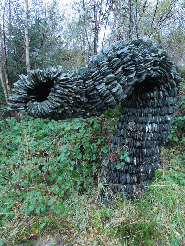 In Celebration of a Tor