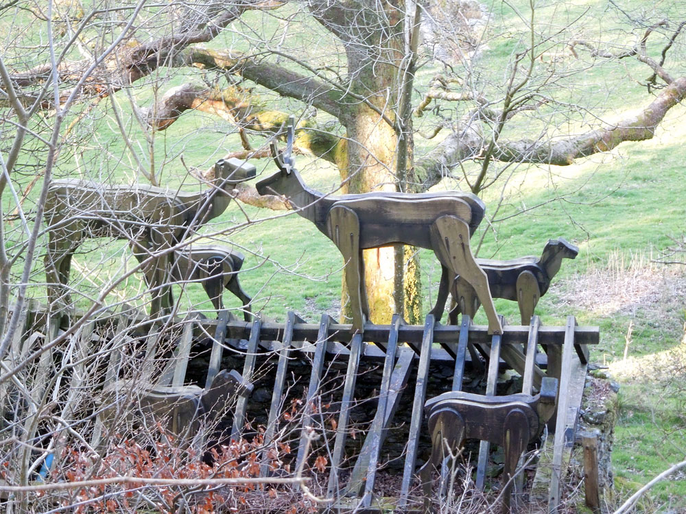 Stag herd roof. Photo Apr 2016